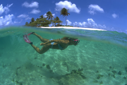 Grenada-snorkel.jpg - Explore coral reefs along the Grenada shoreline on your next Caribbean cruise.