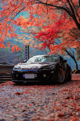 86 Zn6の愛車紹介 紅葉と愛車 紅葉 一眼レフ撮影 Rocket Bunnyに関するカスタム メンテナンスの投稿画像 車 のカスタム情報はcartune