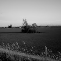 Campagna d'emilia di 