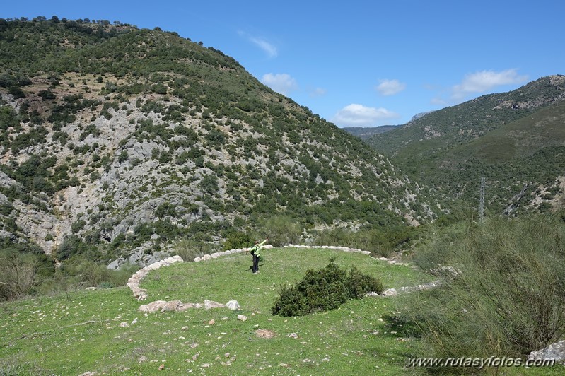 Estación de Cortes - Cañón de las Buitreras - Estación de Gaucín