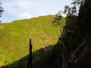 崩壊地から観音山上部を仰ぐ