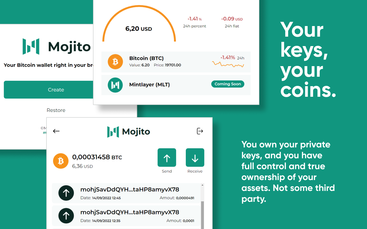 Mojito - A Mintlayer Wallet Preview image 2