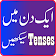 Learn English Tenses in Urdu icon