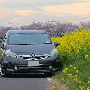 プリウスα ZVW41W