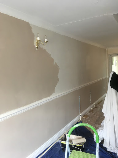 Ceiling two coats of vinyl matt emulsion