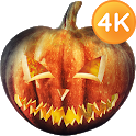 Halloween Wallpapers 4K icon
