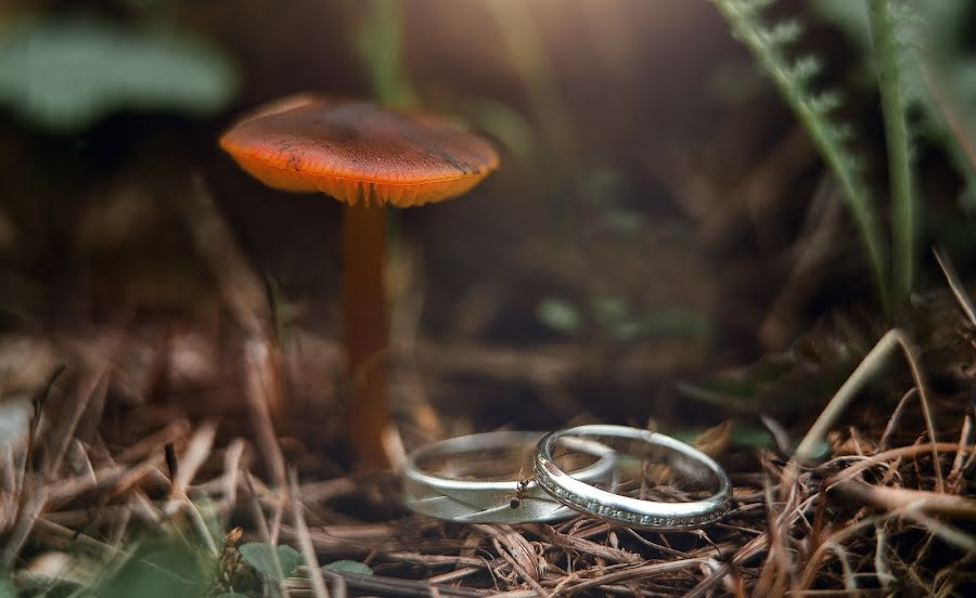 Fotógrafo de casamento Aleksandr Klevcov (redoid). Foto de 24 de junho 2017