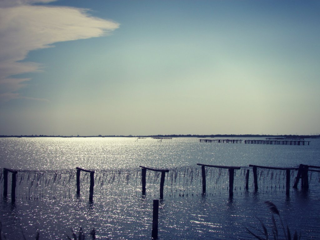 il silenzio e la tranquillità di erykaa