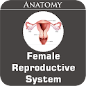 Female Reproductive System