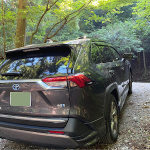 RAV4 AXAH54