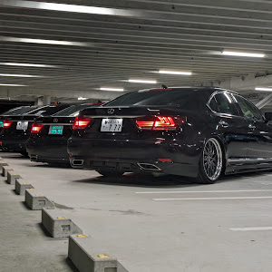 LS