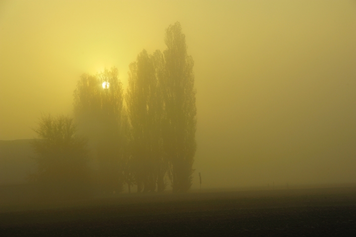 Nebbia di pianura di edansilo