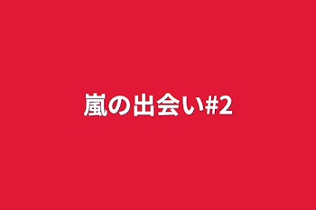 嵐の出会い#2