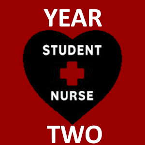 Nursing Year Two Premium