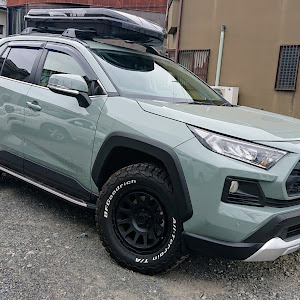 RAV4 MXAA54