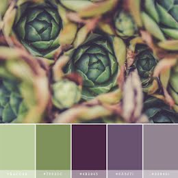 Succulent Palette - Instagram Post item