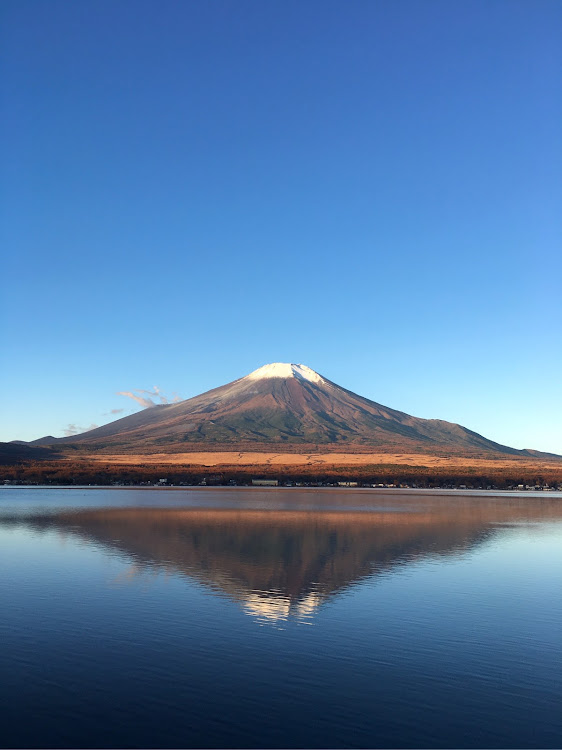 の投稿画像4枚目