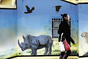 POINTED QUESTION: A wildlife mural on the wall of a backpackers' lodge off Jan Smuts Avenue in Johannesburg, close to the premises of veterinarian Peter Baker, who has a sign outside his practice asking SANParks what it is doing to protect rhinos from poaching