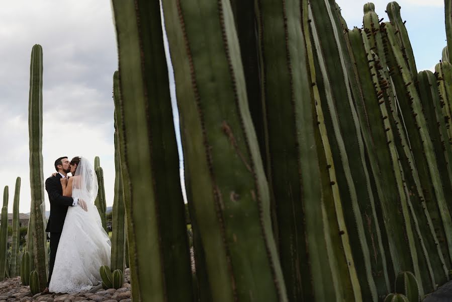 Fotógrafo de casamento Petul Angeles (petulangeles). Foto de 15 de julho 2017