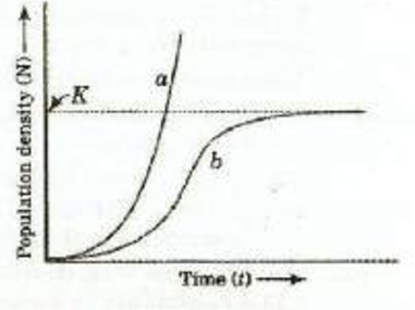 Population Growth