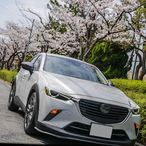 CX-3 DK5FW