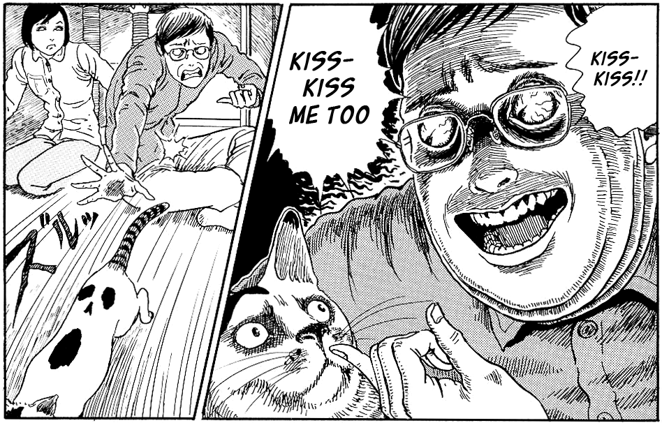 Junji Ito cat's diary