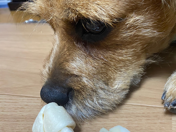 Nボックスの美味しい食べ物・花・毎日が良き日・フォロワーさんありがとう！・ちゃちゃラブ❤️に関するカスタム事例の投稿画像7枚目