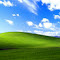 Item logo image for Windows XP