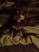 Angela Marie Beaulieu's photo.