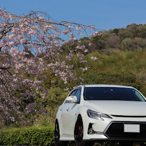 マークX G's