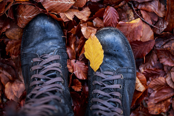 My old combat boot in a fall wood di Tindara