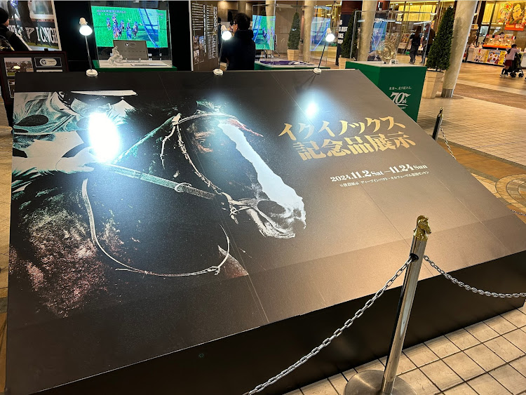6シリーズ クーペのドライブ・紅葉ドライブ・ダム活・競馬・日塩もみじラインに関するカスタム事例の投稿画像7枚目