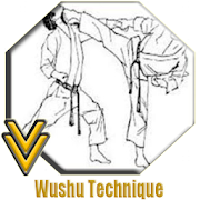 Wushu Technique  Icon