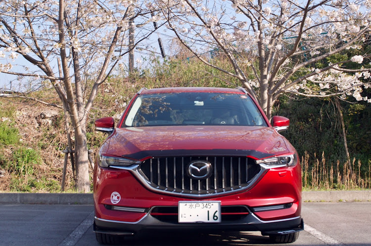 CX-5の健康診断・今年はまだ咲かないな🙄・ヒマだと撮る📸・明日3回目ワクチン接種・MazdaCamaradesに関するカスタム事例の投稿画像2枚目