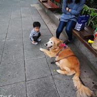 一品山西刀削麵之家