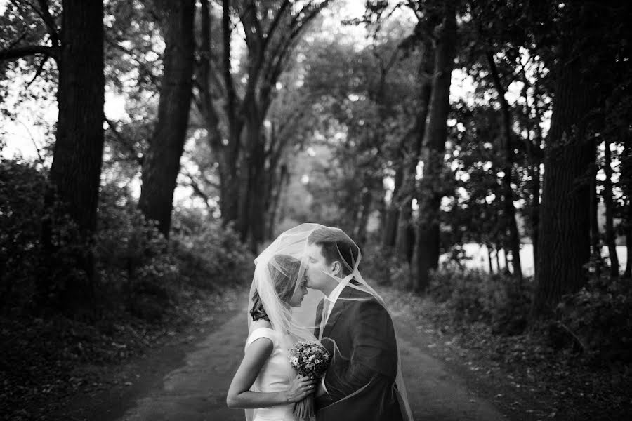 Fotógrafo de casamento Michal Jasiocha (pokadrowani). Foto de 28 de dezembro 2015