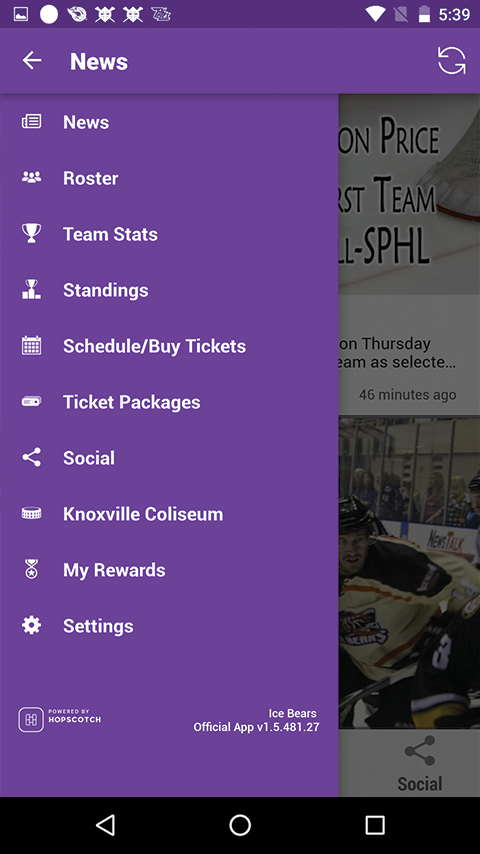 Knoxville Ice Bears Screen 2