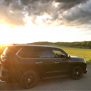 LX URJ201W