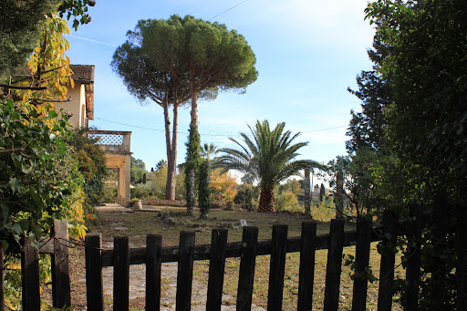 House with garden 1