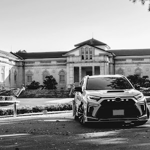 RAV4 AXAH52