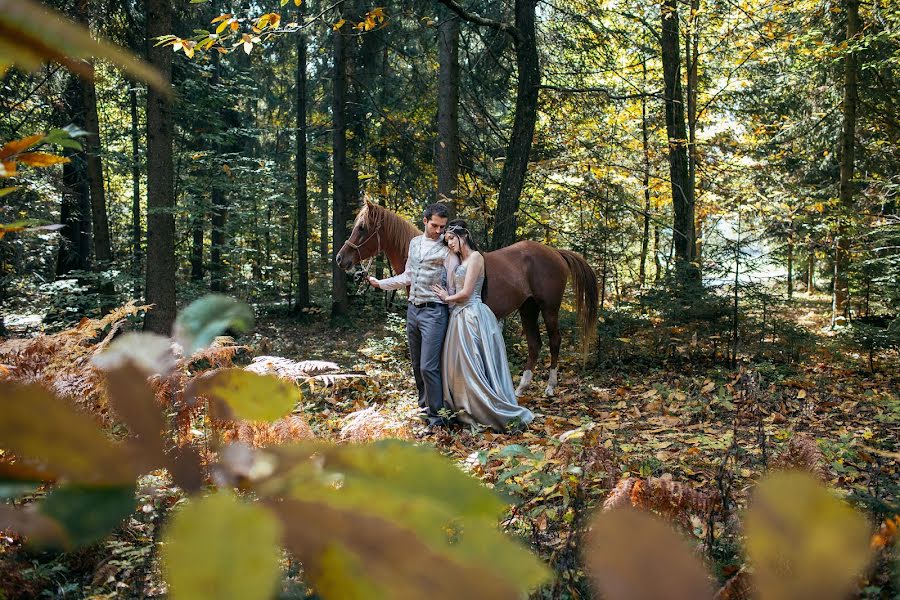 Wedding photographer Dmitriy Roman (romdim). Photo of 20 November 2017