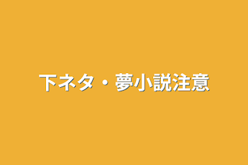 下ネタ・夢小説注意