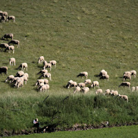 Castelluccio non solo lenticchie di 