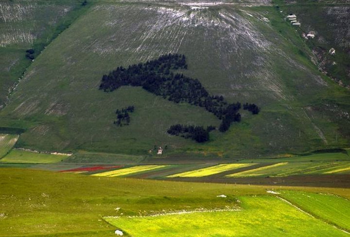 L'Italia di Alberi di GLADIOLO