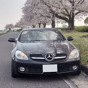 SLK R171