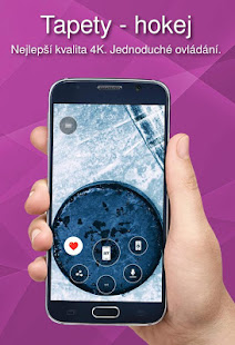 Tapety - hokej - náhled