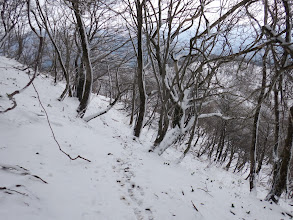 土倉岳への降下斜面