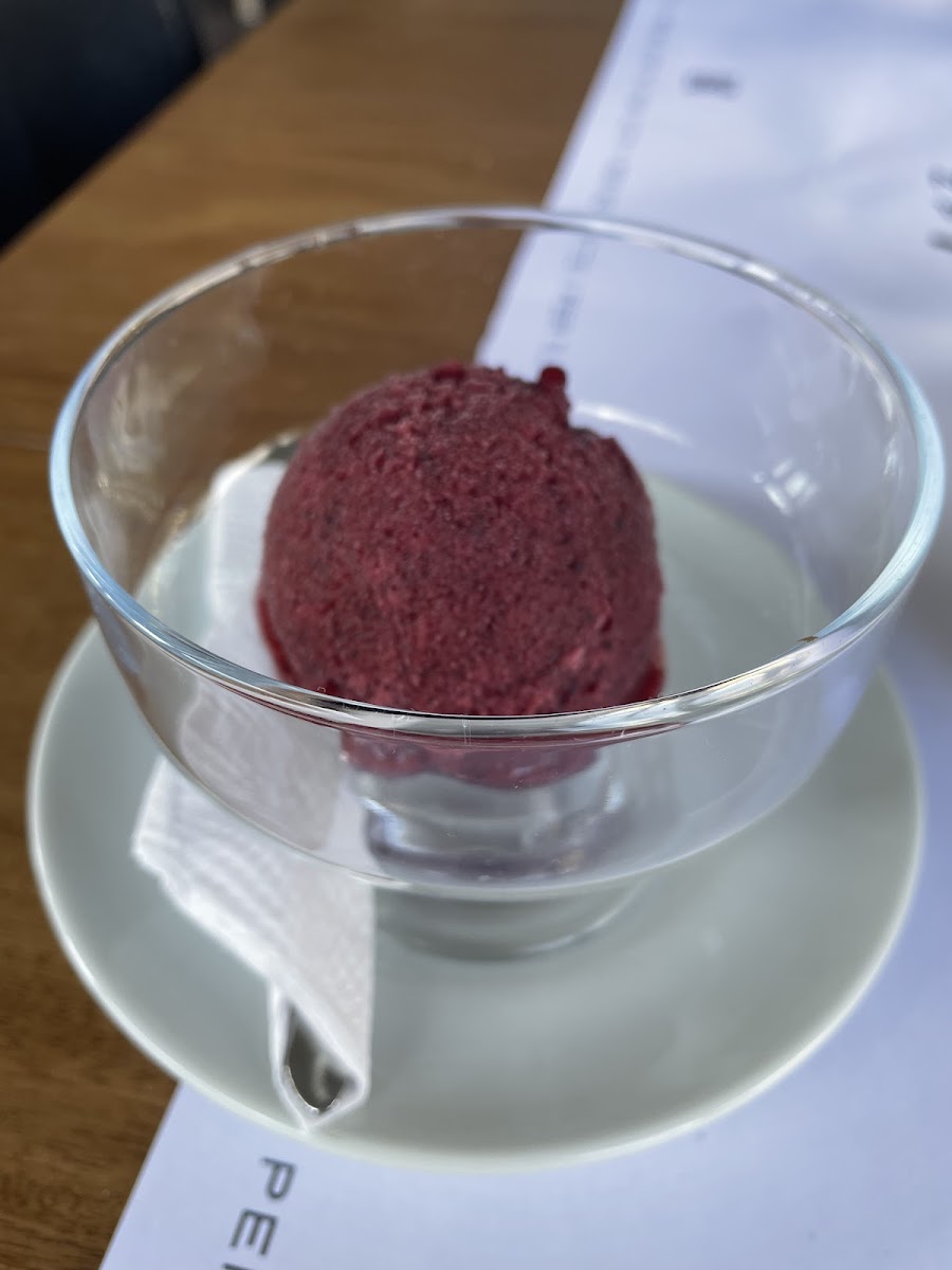 Berry Sorbet