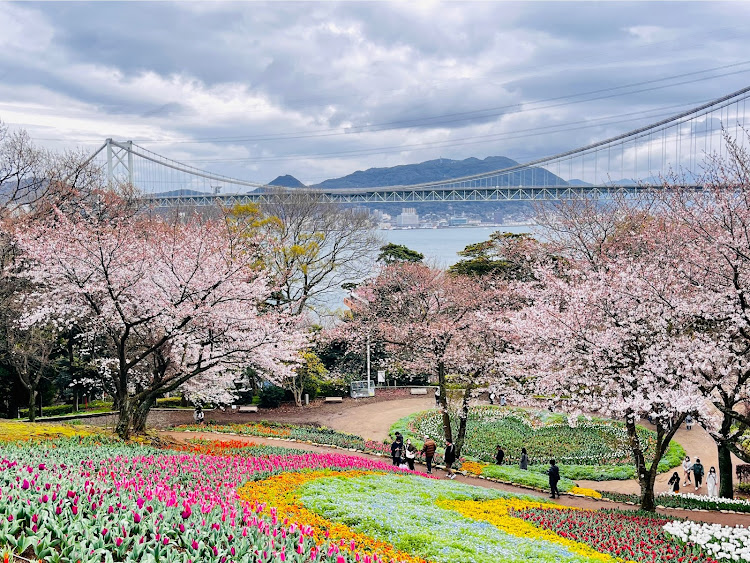 アルトワークスの目指せPickUpCars・桜・チューリップ🌷・ホイール交換・いつもイイネ&コメントありがとうございます🙇‍♂️に関するカスタム事例の投稿画像9枚目