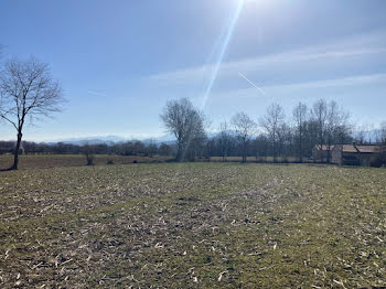 terrain à Les Tourreilles (31)